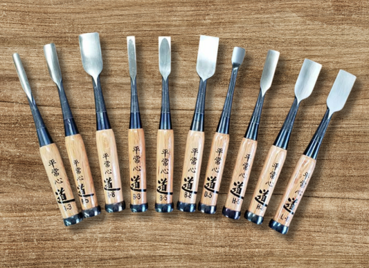 Wood Carving Chisel 10 Pieces Set in Wood Box Case