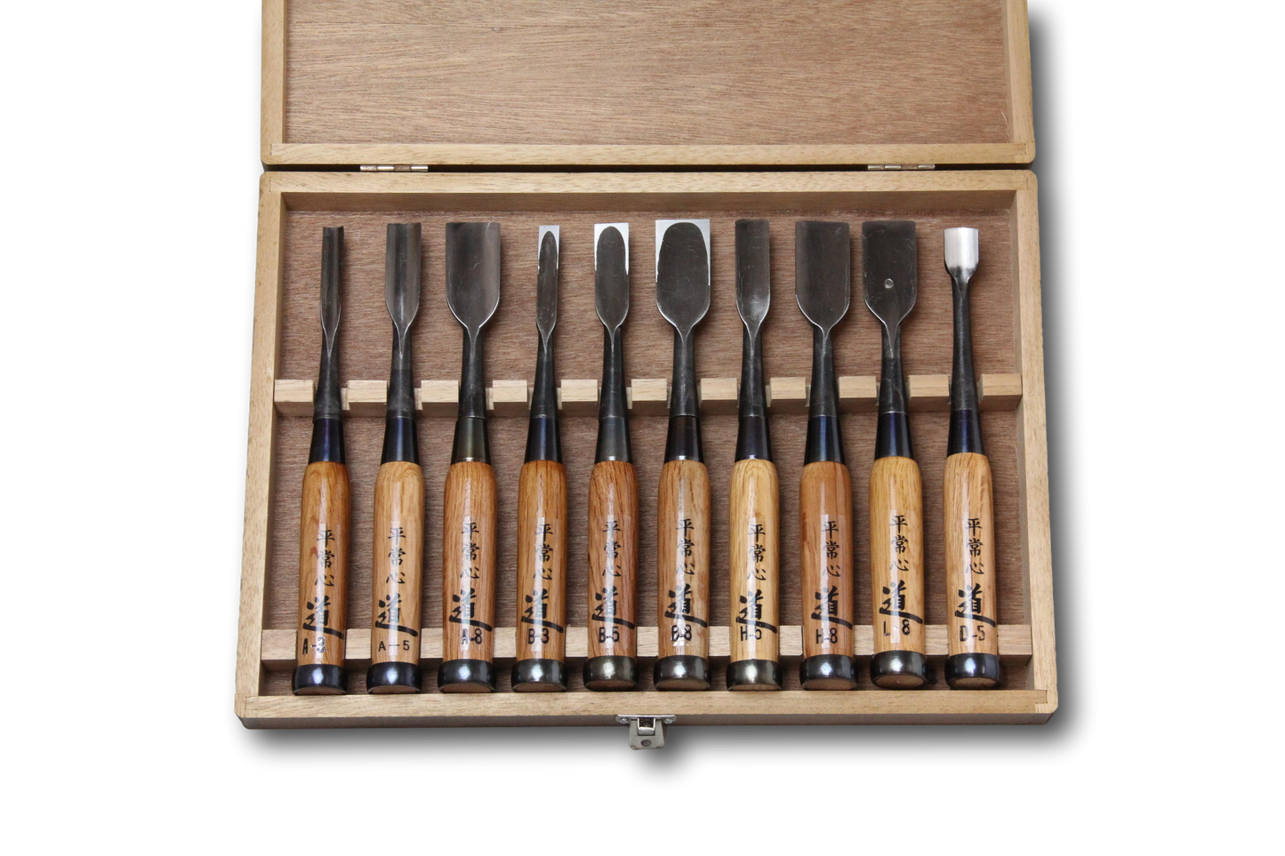 Wood Carving Chisel 10 Pieces Set in Wood Box Case